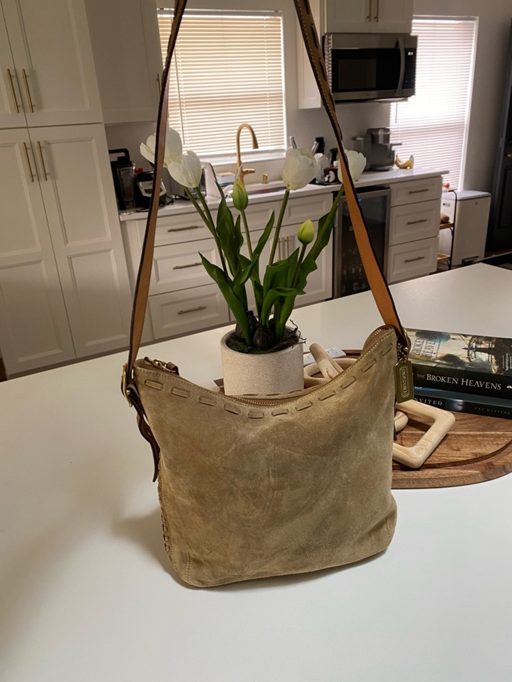 Coach suede Leather Shoulder Bag in Tan